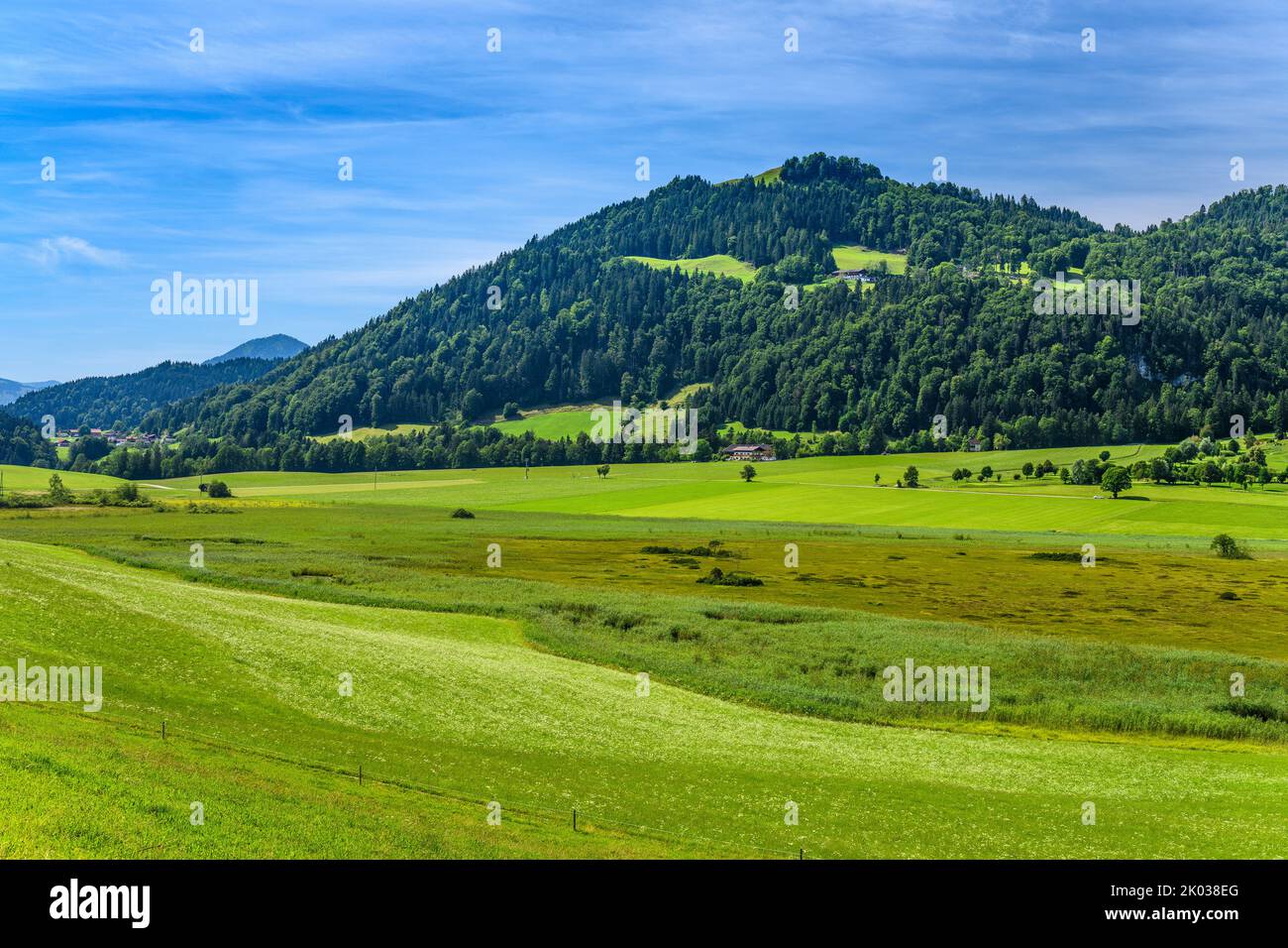Autriche, Tyrol, Kaiserwinkl, Walchsee, Schwaigs, Moorland Schwemm, vue du sud vers Chiemkogel Banque D'Images