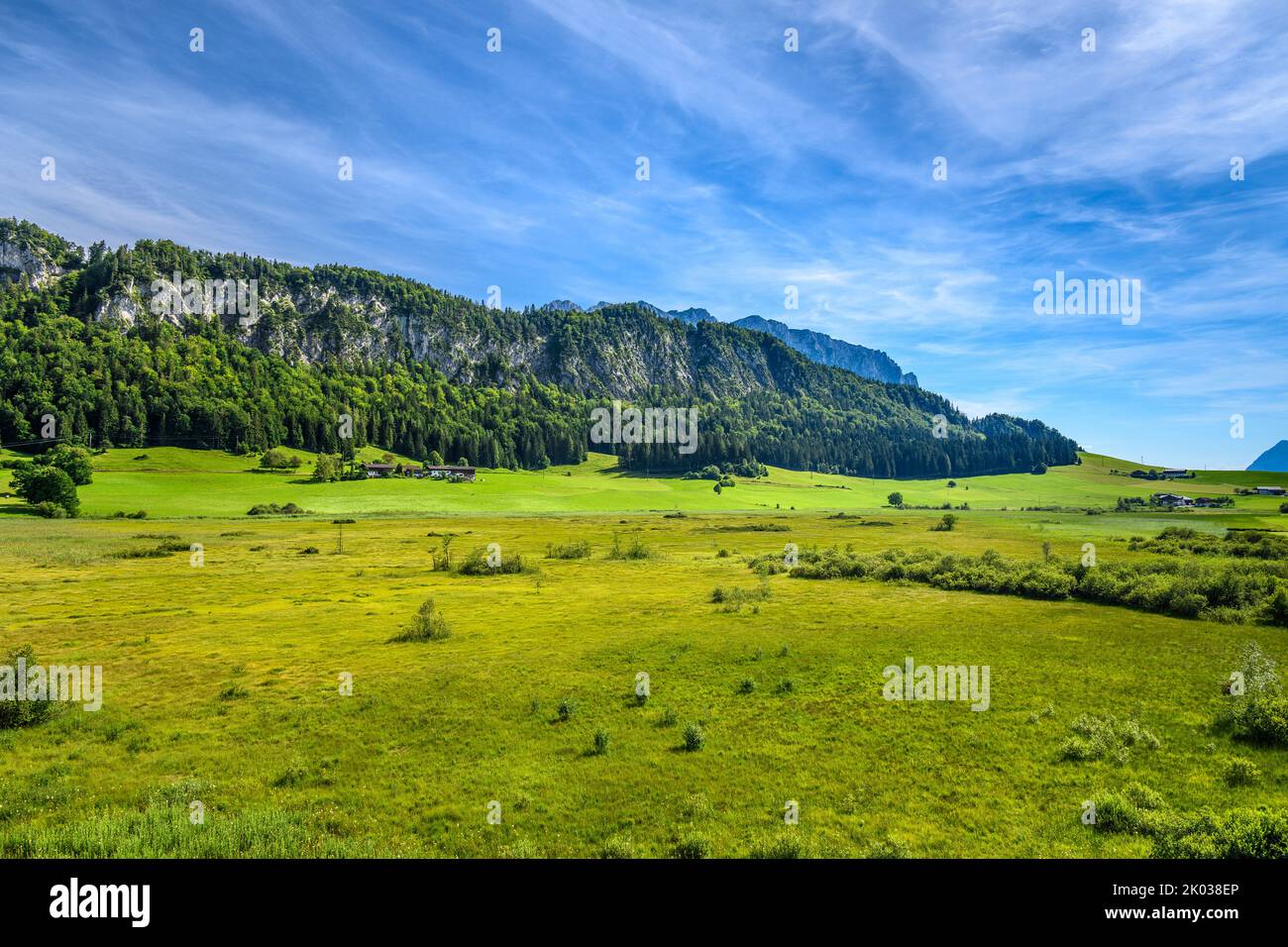 Autriche, Tyrol, Kaiserwinkl, Walchsee, Schwaigs, Moorland Schwemm contre Miesberg, vue depuis la tour d'observation Banque D'Images