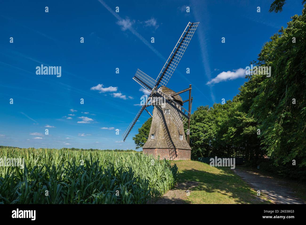 Allemagne, Ahaus, Westmuensterland, Muensterland, Westphalie, Rhénanie-du-Nord-Westphalie, Ahaus-Wuellen, Quantwicker Muehle, moulin à vent, Holaendermuehle, culture du maïs Banque D'Images