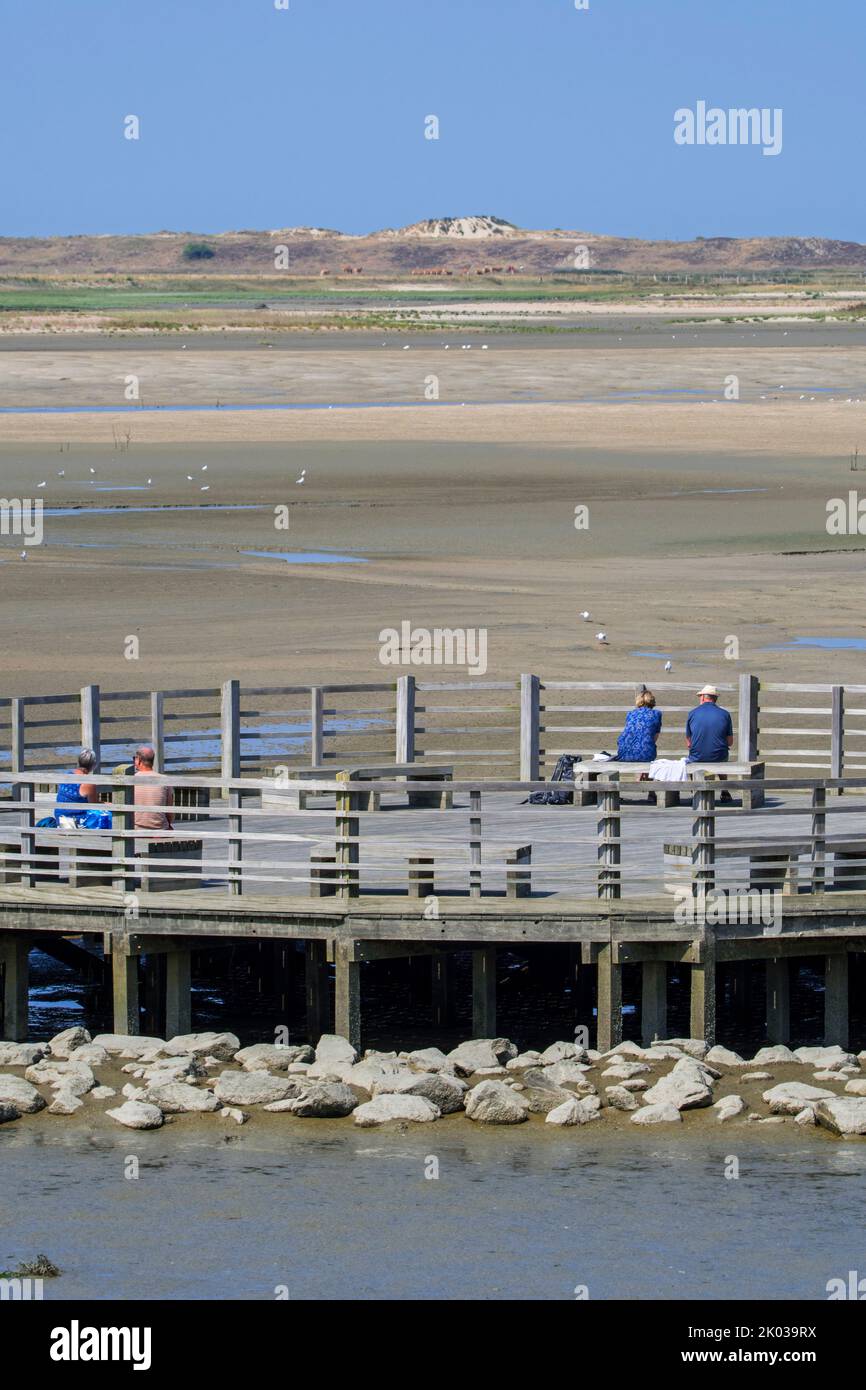 Touristes / marcheurs se reposant sur une plate-forme de belvédère en bois, point de vue offrant une vue sur le saltmarsh et les oiseaux côtiers à la réserve naturelle de Zwin, Belgique Banque D'Images