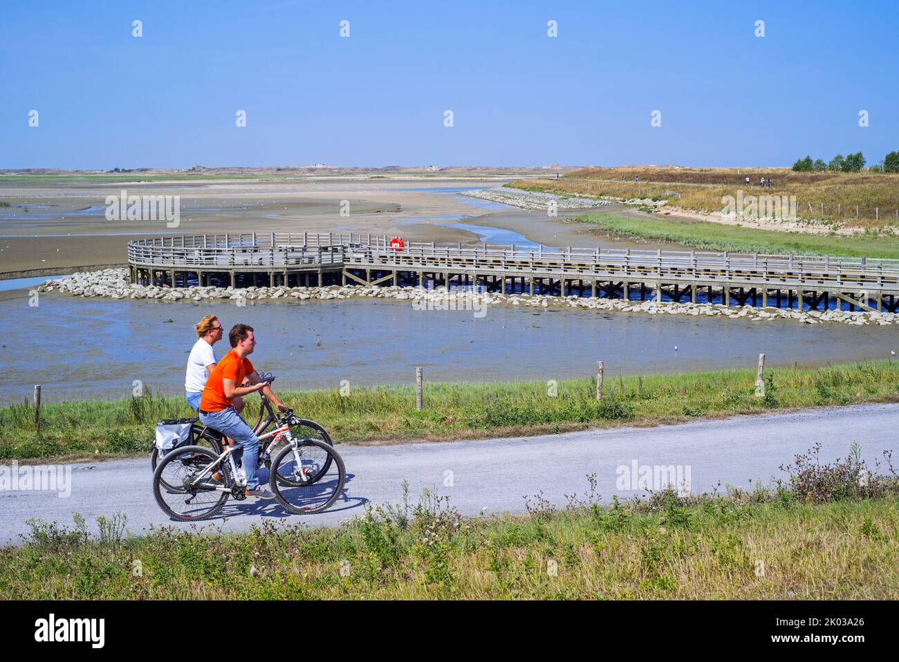 Cyclistes à vélo sur International Dyke, après une plate-forme de surveillance, regardant sur le marais saltérin et les oiseaux côtiers de la réserve naturelle de Zwin, Knokke-Heist, Belgique Banque D'Images