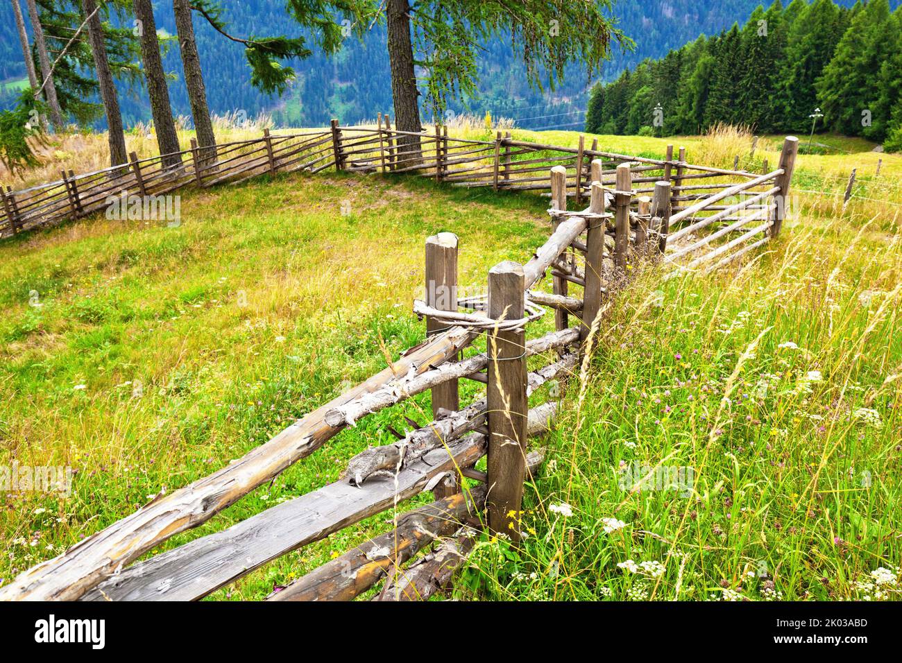 Clôtures en bois typiques dans la vallée d'Ulten du Tyrol du Sud Banque D'Images