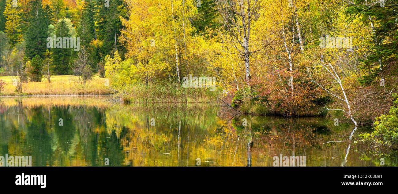 Paysage d'automne en Bavière dans l'Allgäu au lac Schwansee près de Schwangau Banque D'Images