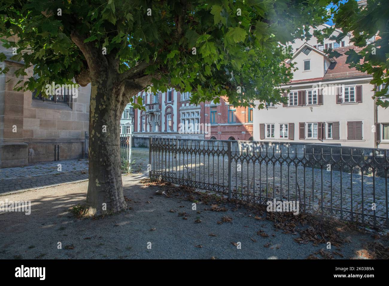 Allemagne, Bade-Wurtemberg, Tübingen, vieille ville, collégiale, piste, petit parc, arbre, ombre Banque D'Images