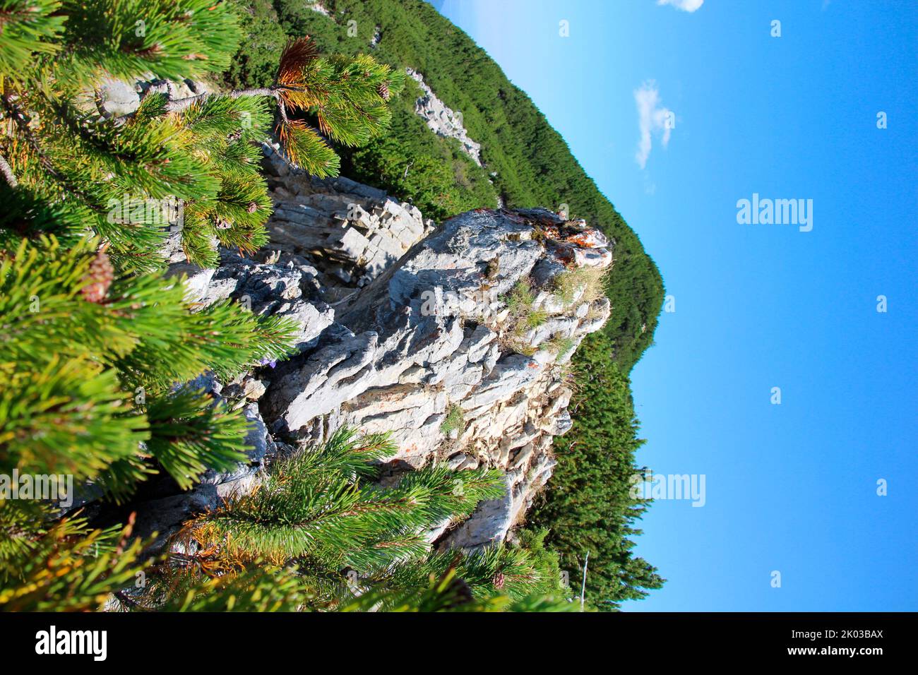 Randonnée à la haute Fracen (1940 m), près de Farchant, Estergebirge, Europe, Allemagne, Bavière, haute-Bavière, pays de Werdenfelser, pré-Alpes bavaroises, Banque D'Images