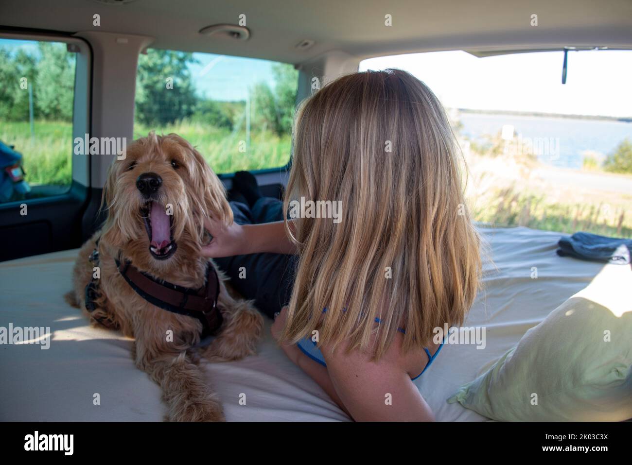 Bâillements de chiens, jeune femme en minibus, camping, camping-car Banque D'Images