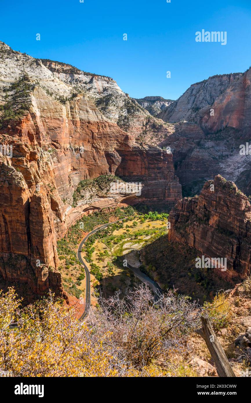 Le parc national de Zion est situé dans le sud-ouest de l'Utah, à la frontière avec l'Arizona. Il a une superficie de 579 kö² et se situe entre 1128 m et 2660 m d'altitude. Vue depuis la piste d'Angels Landing vers la vallée de la rivière Virgin. Banque D'Images