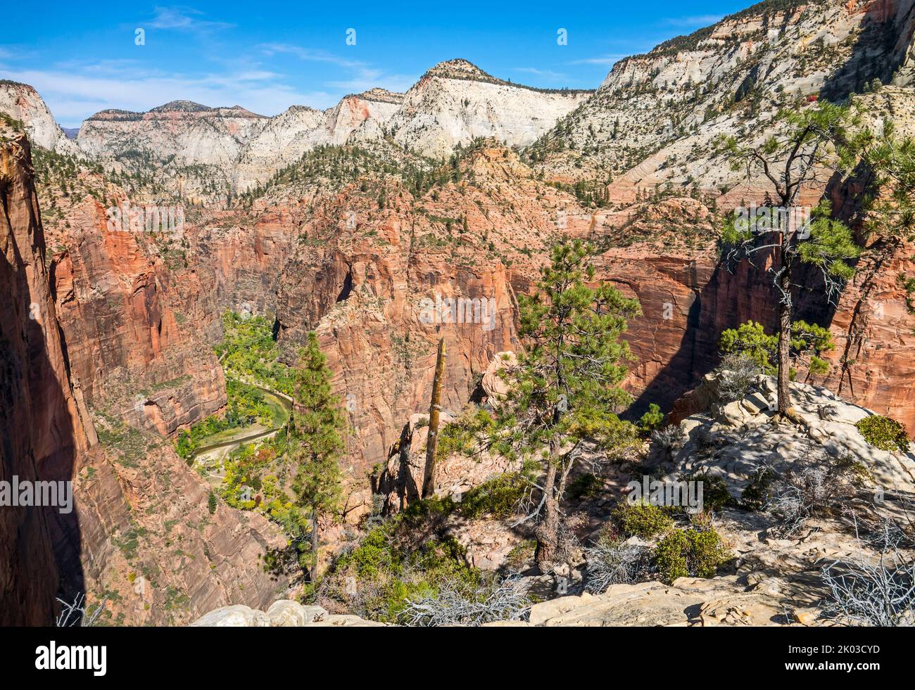 Le parc national de Zion est situé dans le sud-ouest de l'Utah, à la frontière avec l'Arizona. Il a une superficie de 579 kö² et se situe entre 1128 m et 2660 m d'altitude. Vue depuis le sentier du plateau ouest jusqu'à Zion Canyon. Banque D'Images