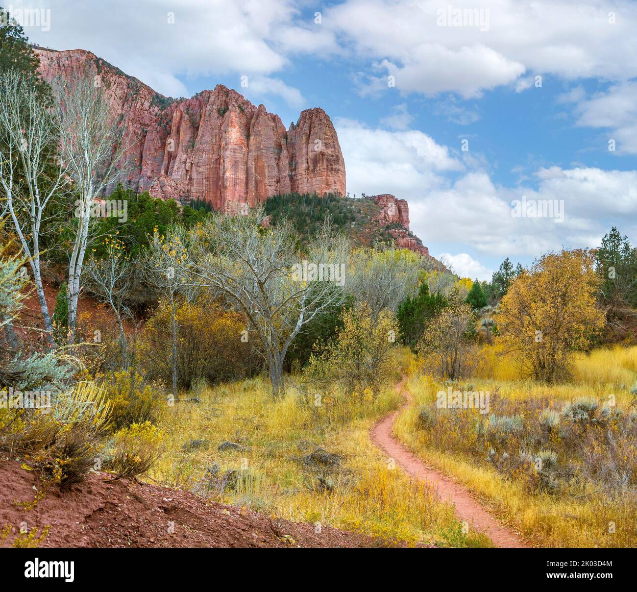 Le parc national de Zion est situé dans le sud-ouest de l'Utah, à la frontière avec l'Arizona. Il a une superficie de 579 kö² et se situe entre 1128 m et 2660 m d'altitude. Paysage d'automne à la Verkin Creek Trail près de Shuntavi Butte, Timber Top Mountain. Banque D'Images