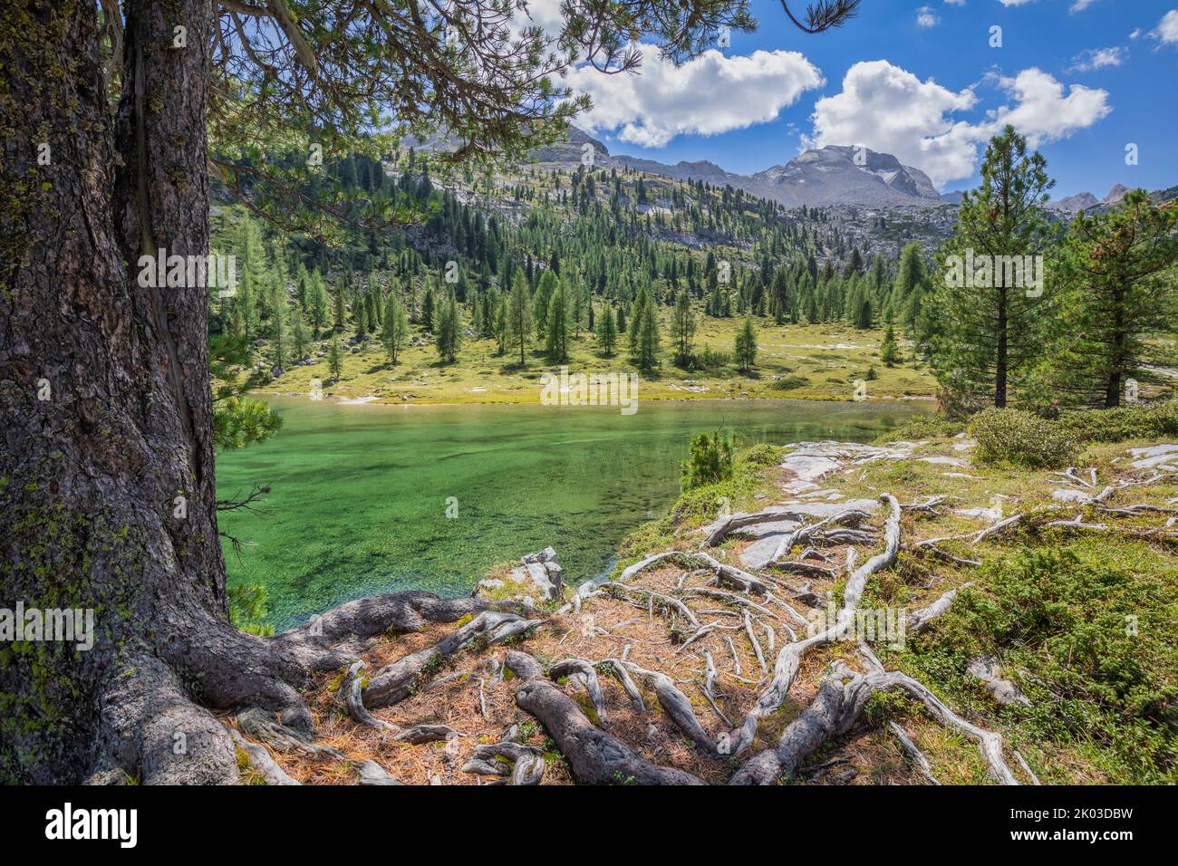 Italie, Tyrol du Sud, Bolzano. Lac vert (Grünsee ou lago Verde) dans la réserve naturelle de Fanes-Sennes-Baies, groupe de Fanes, Dolomites Banque D'Images
