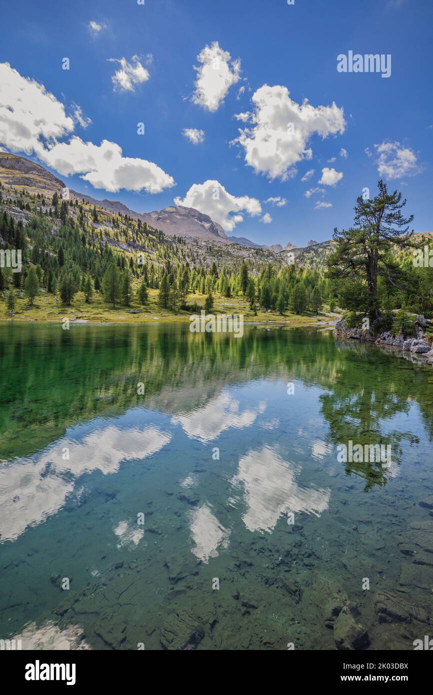 Italie, Tyrol du Sud, Bolzano. Lac vert (Grünsee ou lago Verde) dans la réserve naturelle de Fanes-Sennes-Baies, groupe de Fanes, Dolomites Banque D'Images