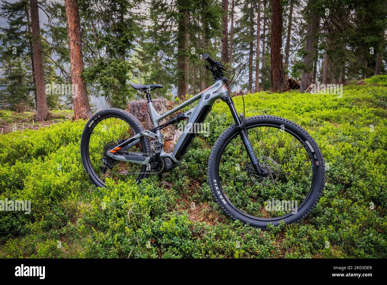 Italie, Dolomites, un e-bike moderne / e-mtb dans la forêt, mobilité verte Banque D'Images