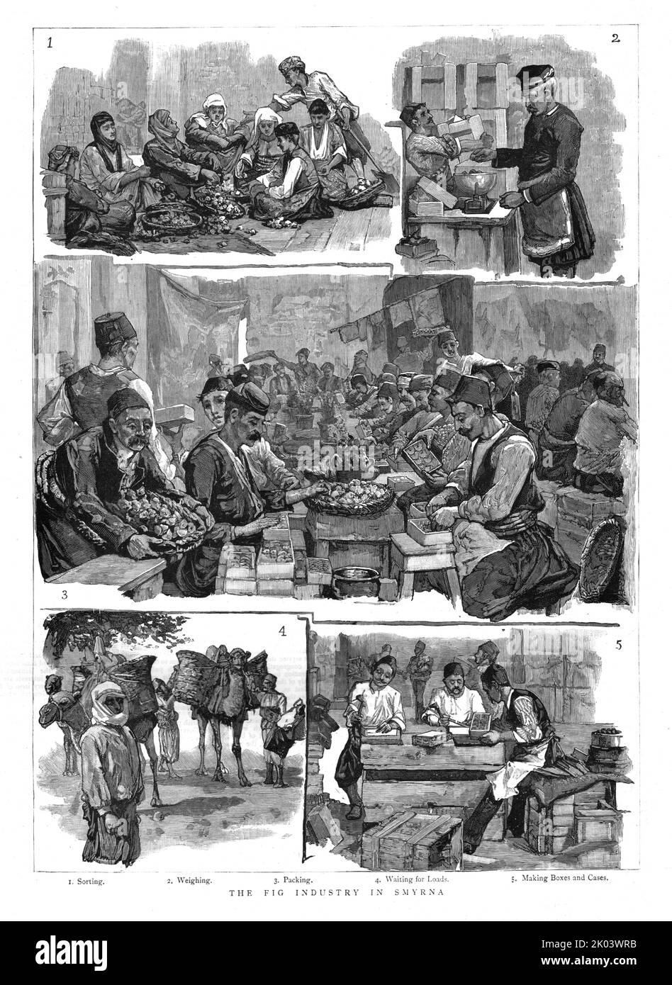 'L'industrie de la Fig à Smyrna', 1886. Dans « The Graphic. Un journal hebdomadaire illustré Volume 33. Janvier à juin 1886 » Banque D'Images