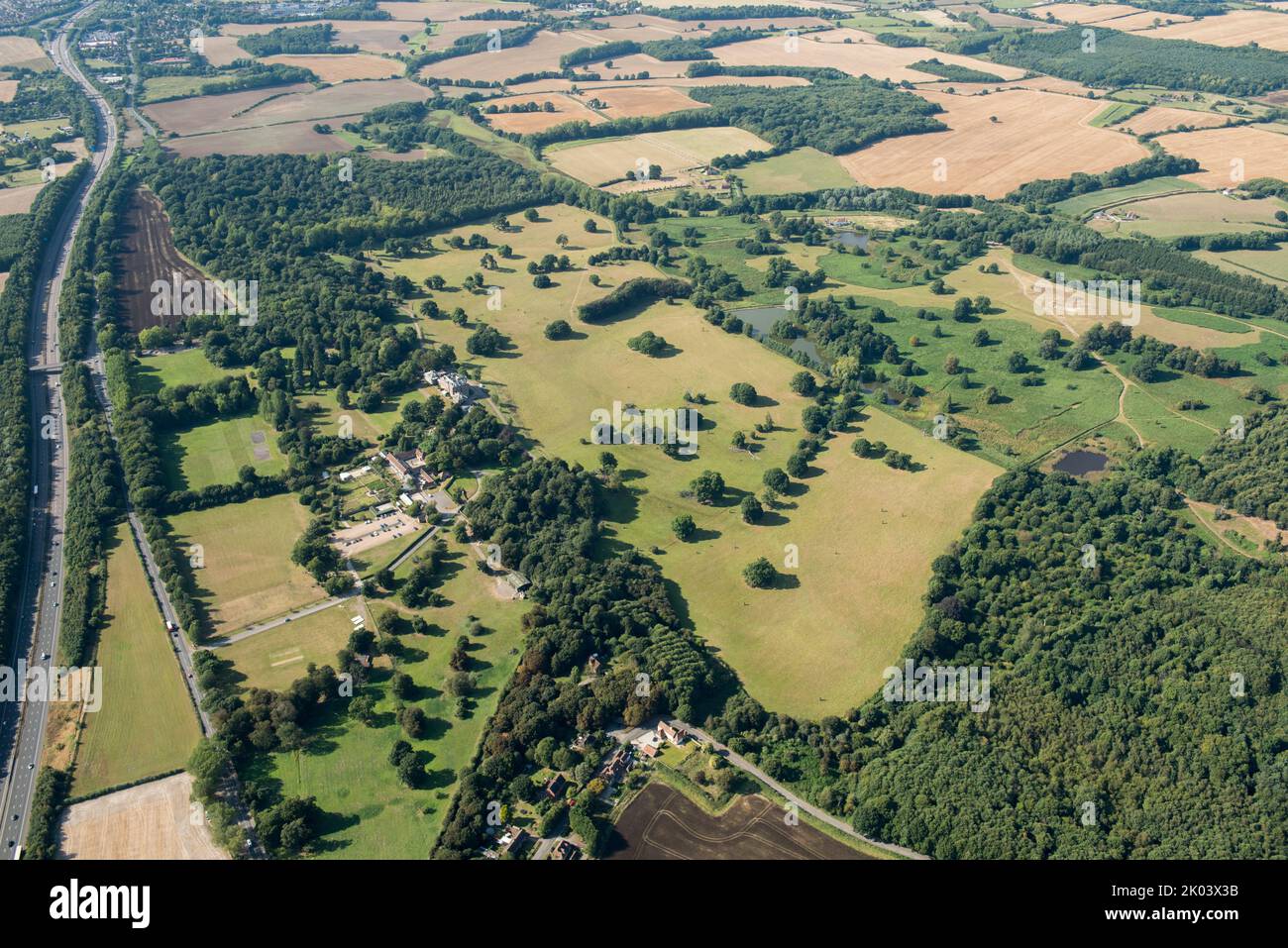 Hatch Park, Kent, 2016. Banque D'Images