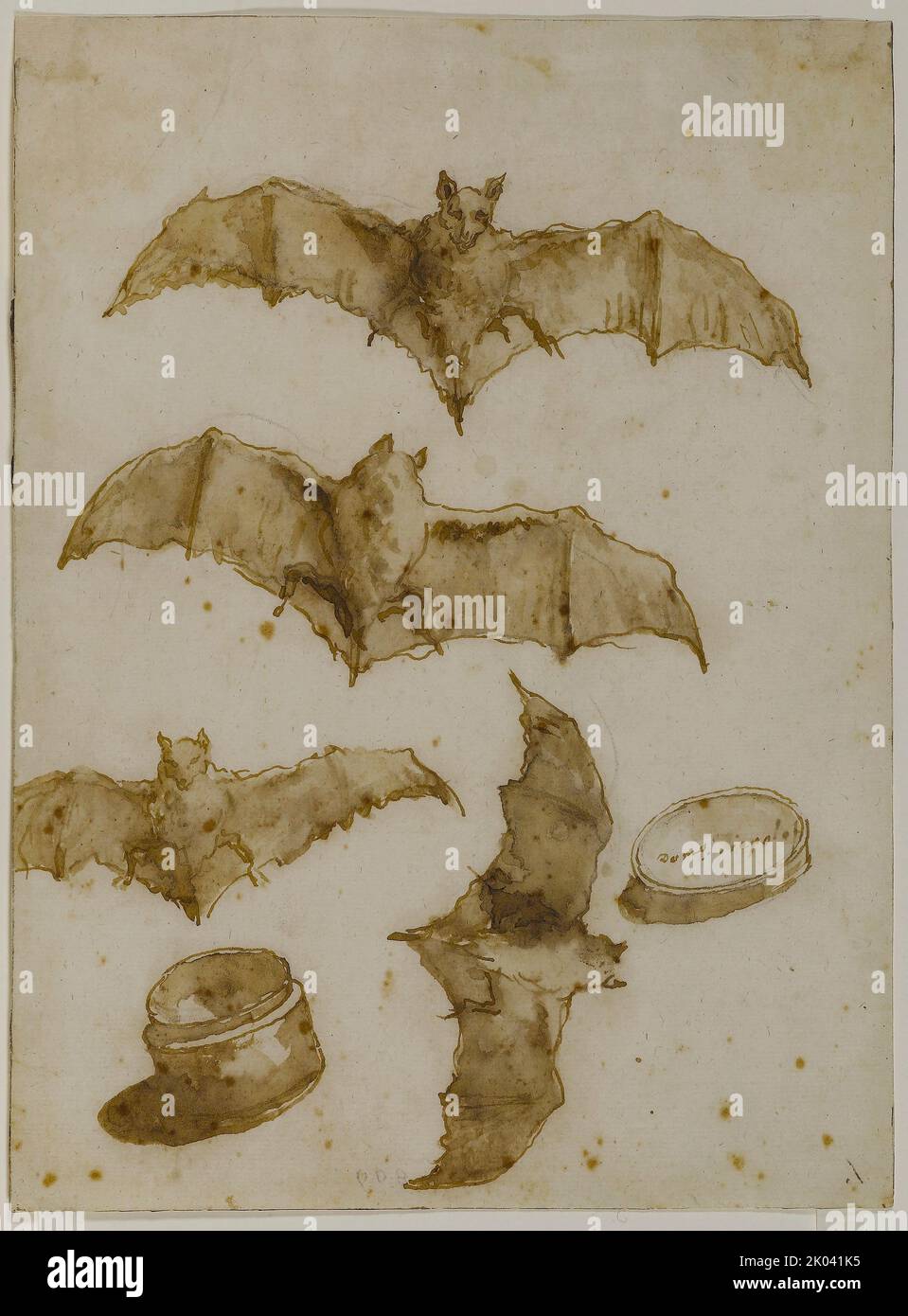 Étude des chauves-souris et de la boîte ouverte, 1790. Trouvé dans la collection de la Pinacoteca del Castello Sforzesco, Milan. Banque D'Images