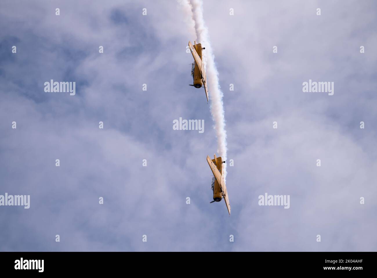 North American Harvards à Boundary Bay BC Canada Banque D'Images
