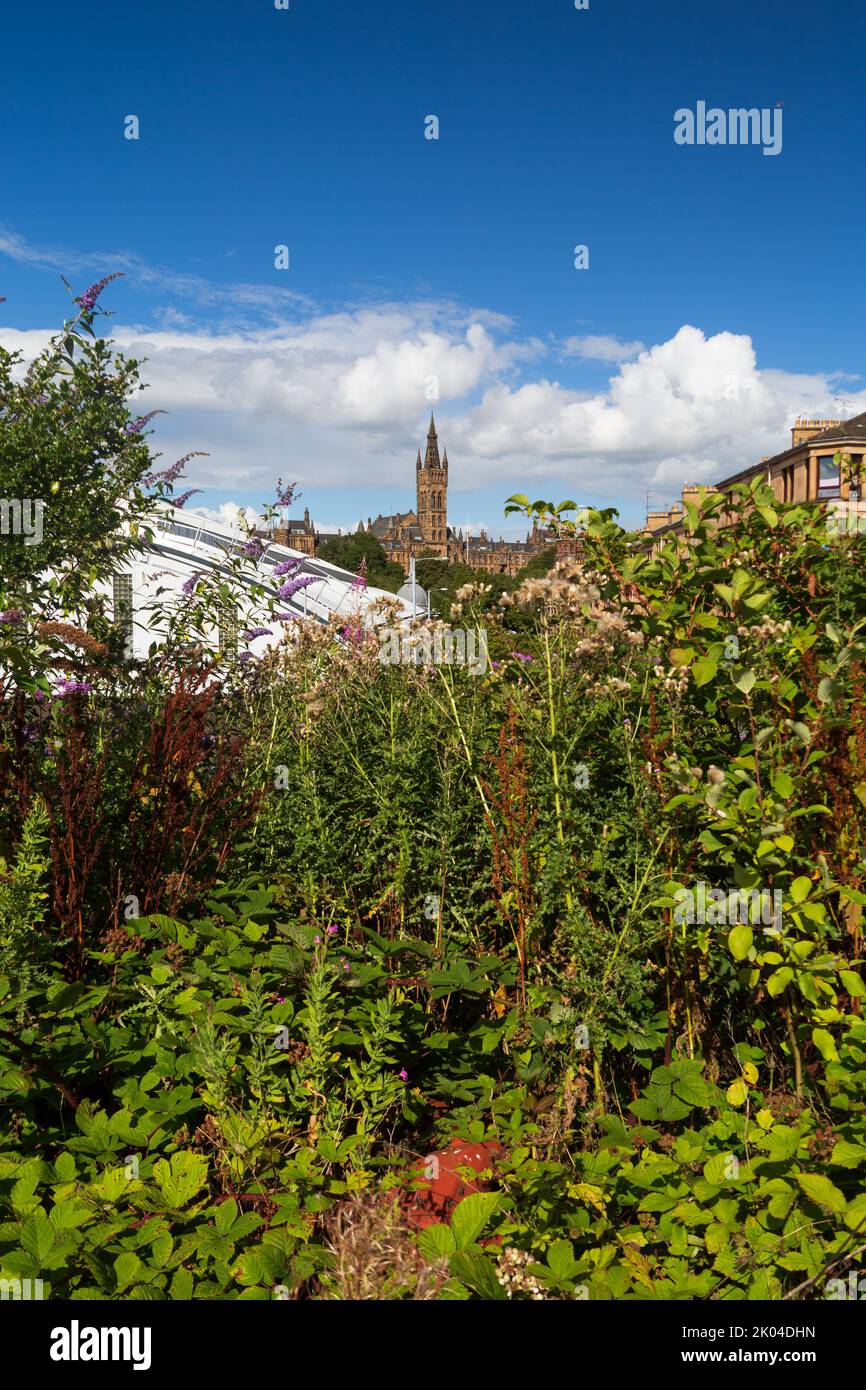 Vue sur l'université de Glasgow en été Banque D'Images