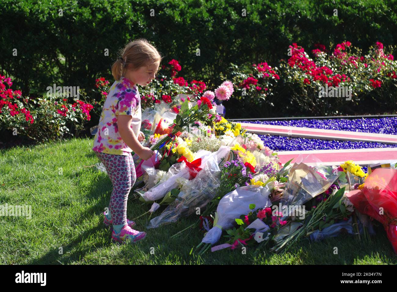 Washington DC, États-Unis. 09 septembre 2022. Une fille dépose des fleurs à un mémorial de fortune à la reine Elizabeth II devant l'ambassade britannique. Credit: Philip Yabut/Alay Live News Banque D'Images