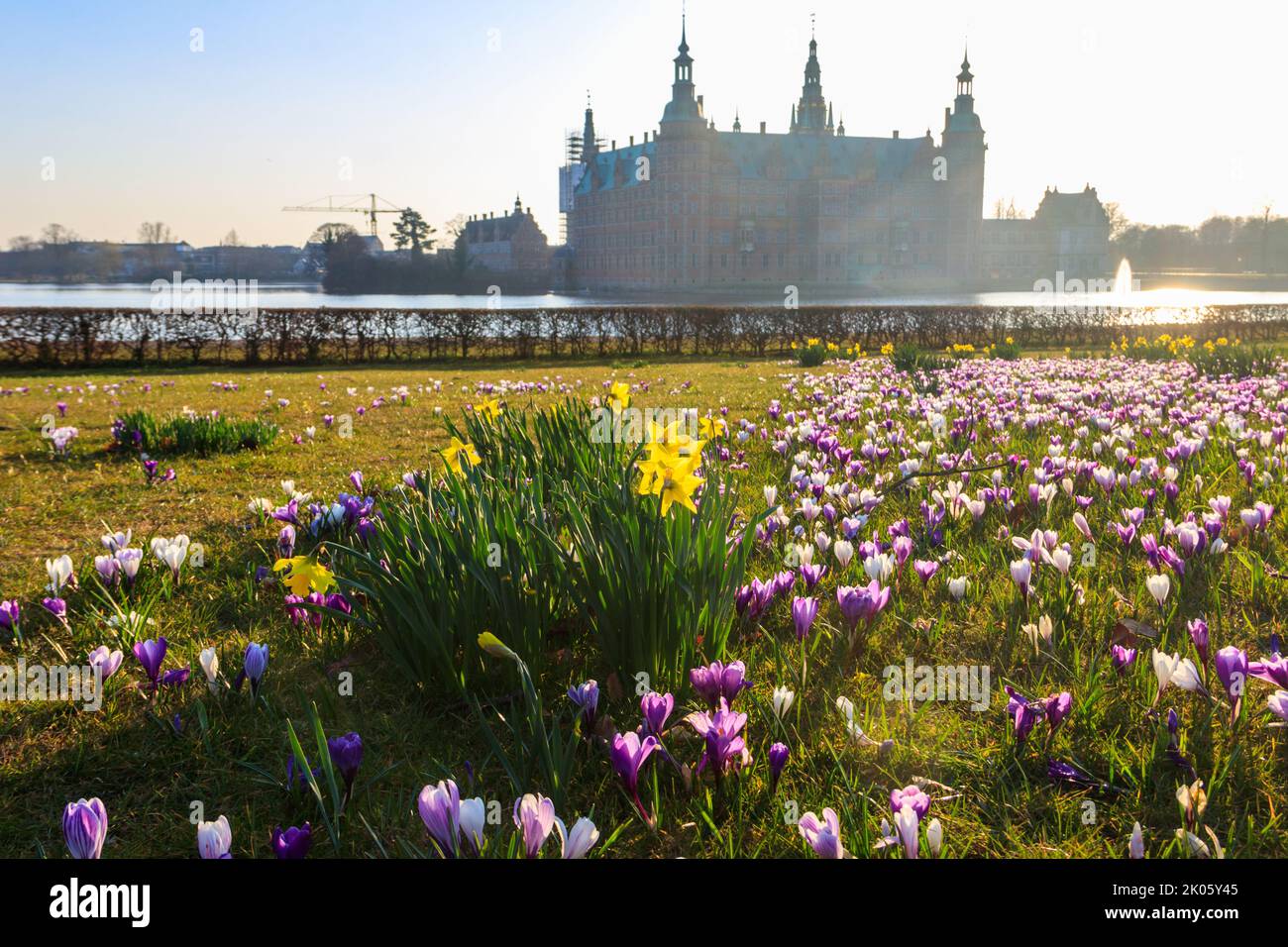 Vue sur le château de Frederiksborg à Hillerod, Danemark. Beau lac et jardin avec des crocodiles et des jonquilles en premier plan Banque D'Images