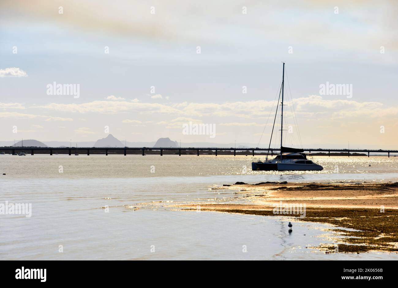 UN APRÈS-MIDI D'OR Banque D'Images