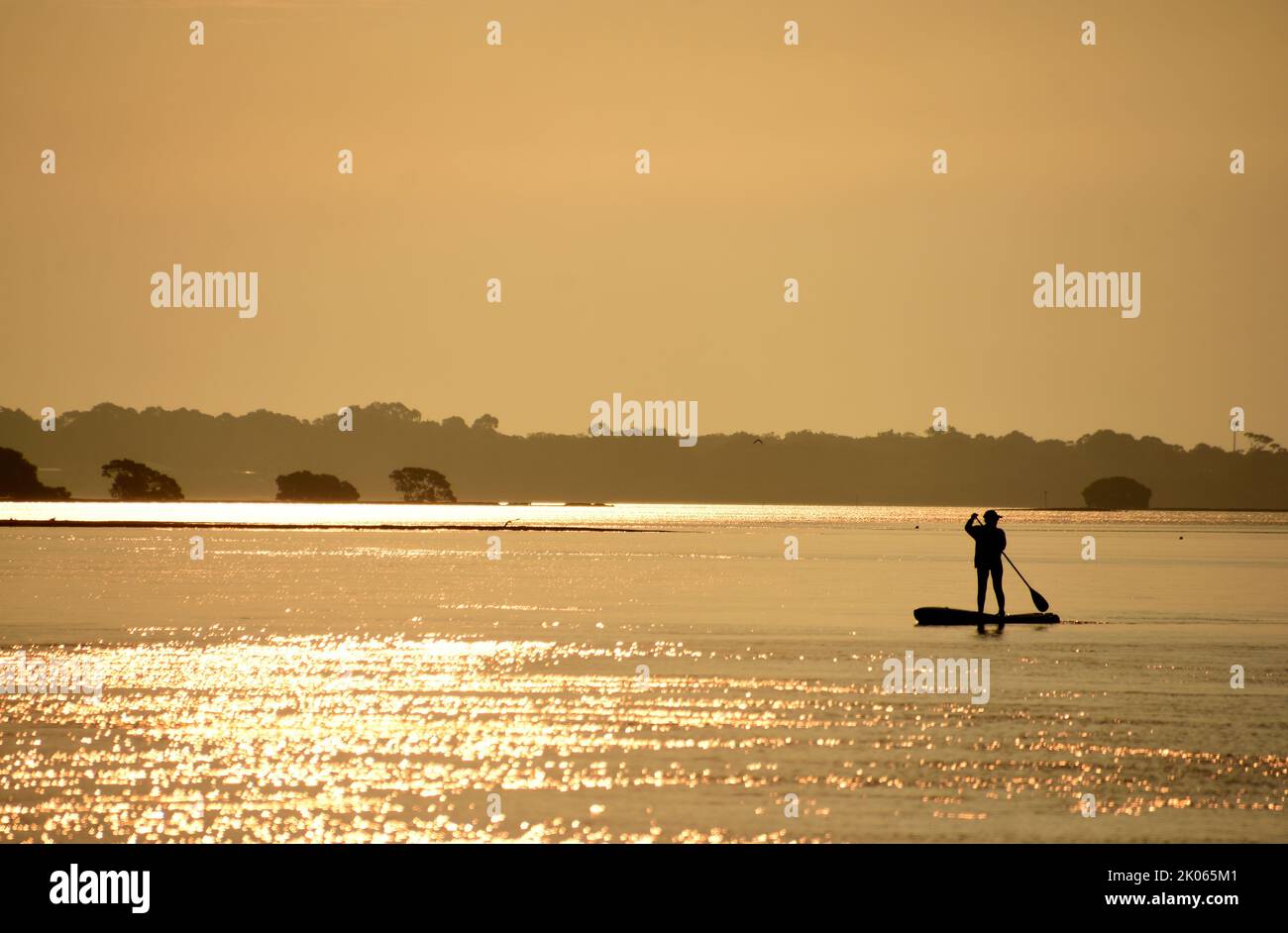 UN APRÈS-MIDI D'OR Banque D'Images