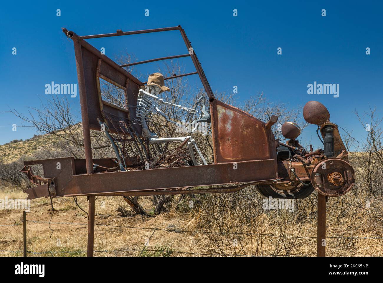 Squelette conducteur dans une épave de véhicule à l'entrée du ranch près de Willcox, Arizona, États-Unis Banque D'Images