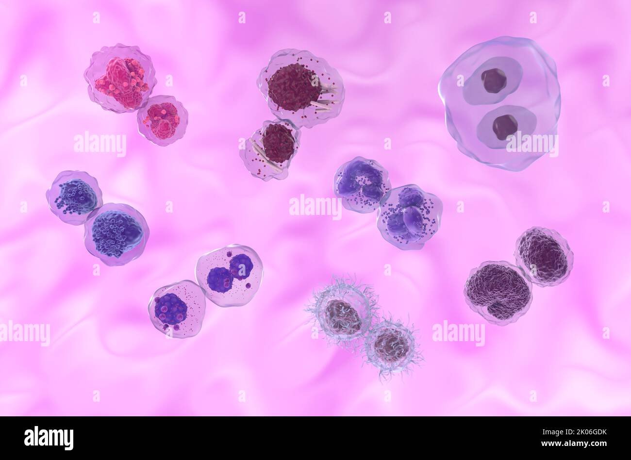 Types de cancer du sang les plus courants : leucémies, lymphomes et myélomes - disposition irrégulière (AML, ALL, CLL, CML, MM, HCL, HL, NHL) - vue avant 3D illust Banque D'Images