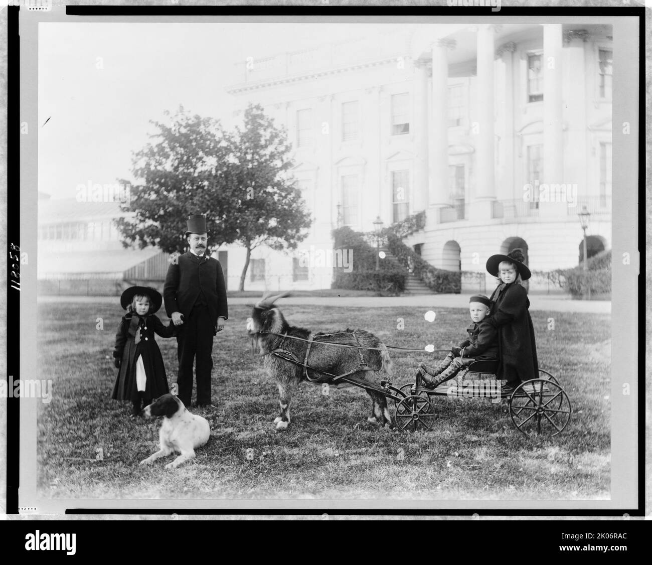 La Maison Blanche--les enfants du major Russell Harrison et Harrison--Baby McKee et sa sœur en charrette de chèvre, entre 1889 et 1893. Le fils du président Benjamin Harrison, Russell Harrison, avec sa fille, sa nièce, son neveu, son chien et les anciens Whiskers, le but. Banque D'Images