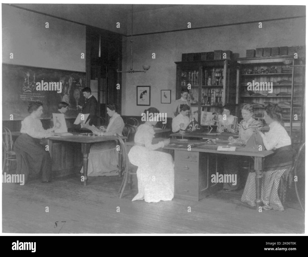 Scènes de classe à Washington, D.C., écoles publiques - classe de zoologie à l'Eastern High School, (1899?). Banque D'Images Scènes de classe à Washington, D.C., écoles publiques - classe de zoologie à l'Eastern High School, (1899?). Banque D'Images