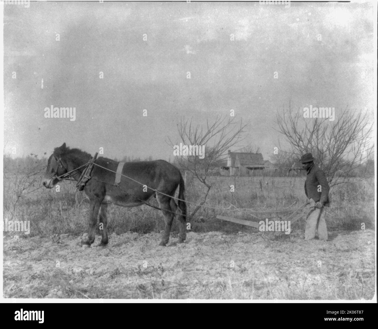 Étudiants américains indiens et africains américains au Hampton Institute, Hampton, Virginie 1900(?) - homme derrière une charrue tirée par des chevaux, 1899 ou 1900. Banque D'Images