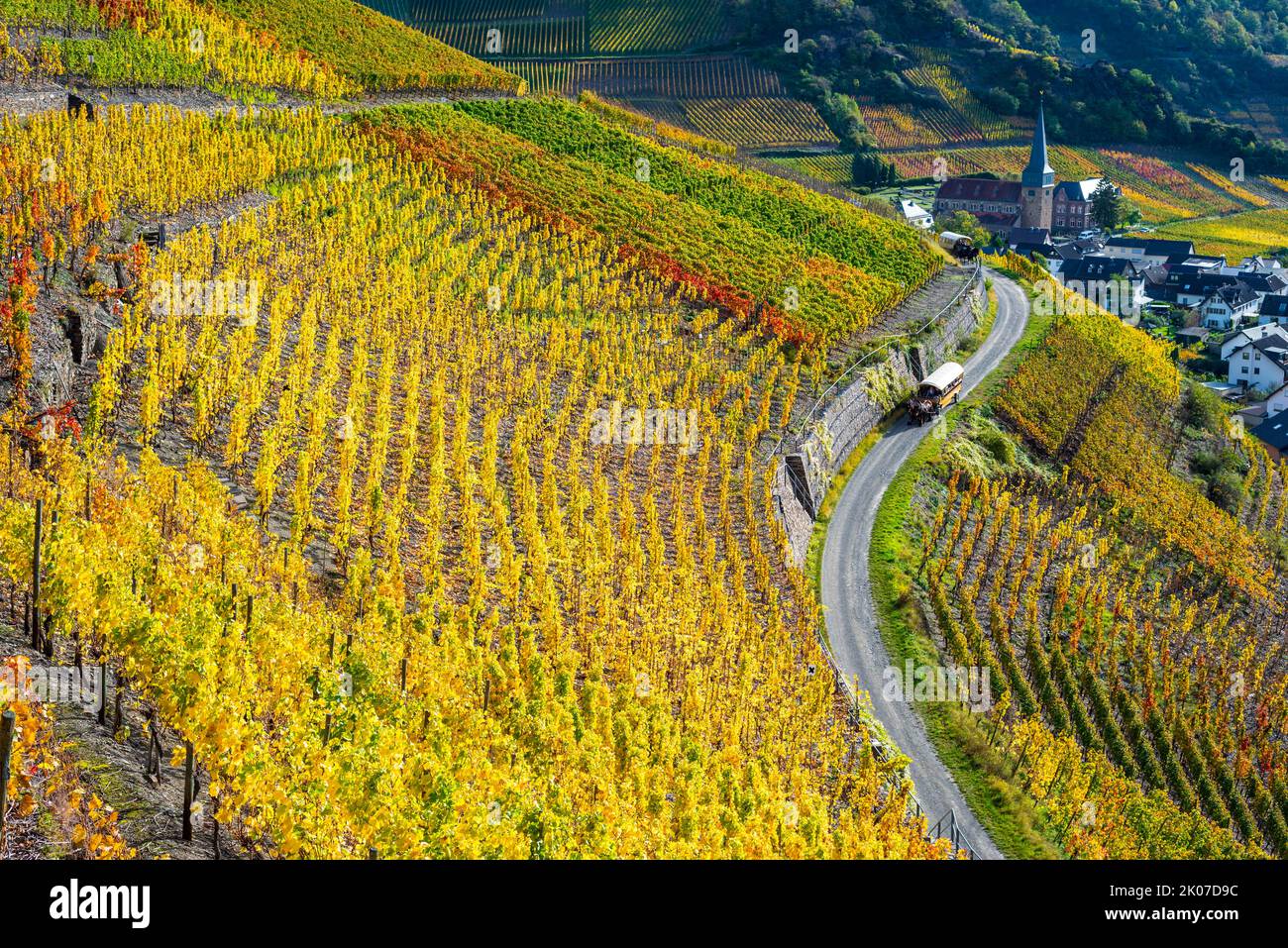 Vignobles en automne, Mayschoss, Ahrtal, vin rouge du Pinot Noir et le raisin Portugieser est cultivé ici, région viticole rouge, Eifel Banque D'Images