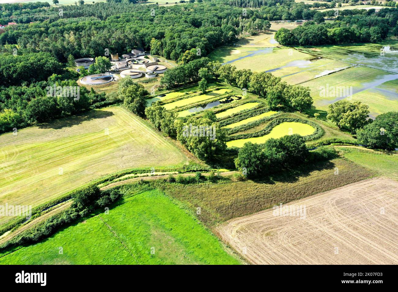 Réservoir de sédimentation secondaire d'une usine de traitement des eaux usées d'un village avec croissance dense d'algues et arbres au bord, vue aérienne avec drone Banque D'Images