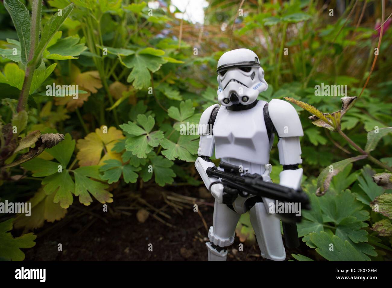 Stormtrooper toy Banque de photographies et d'images à haute résolution -  Alamy