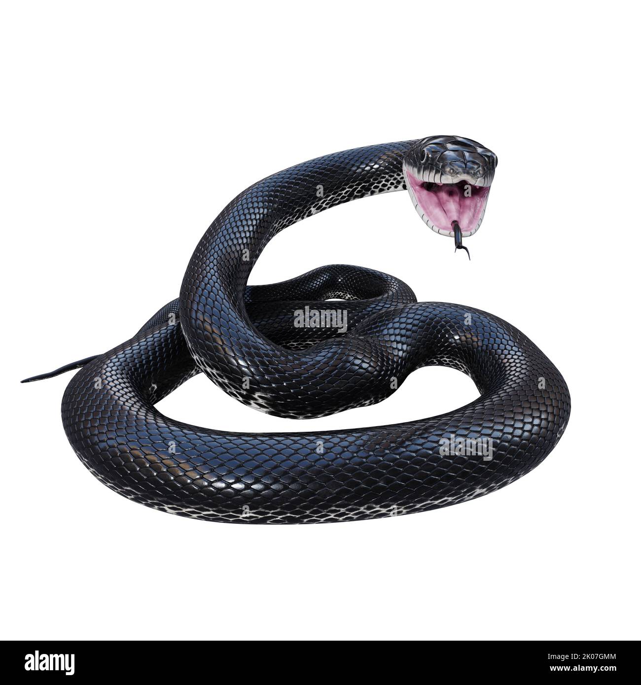 Illustration de serpent noir de rat 3D. Banque D'Images