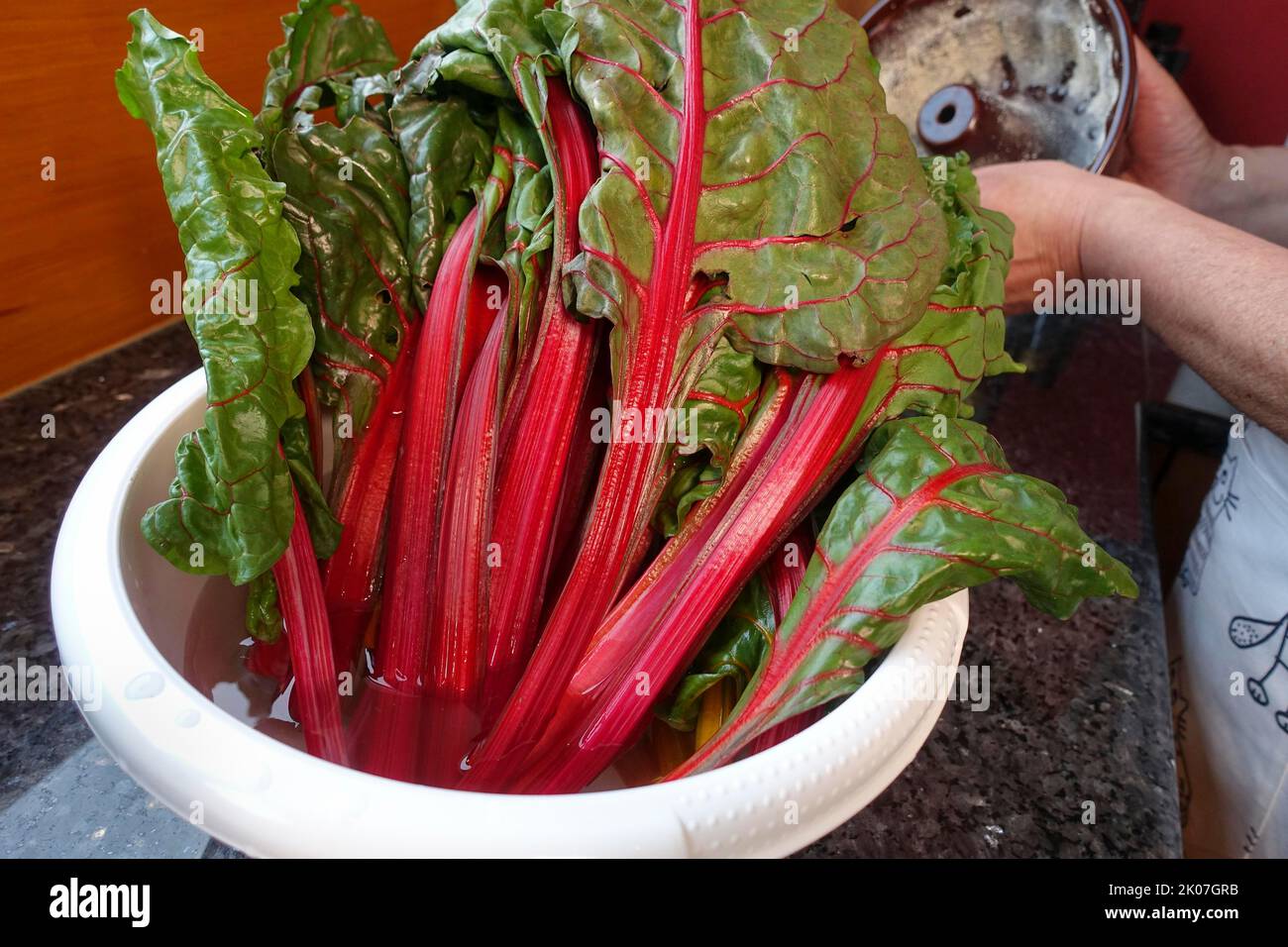 Betterave (Beta vulgaris subsp. Vulgaris), feuilles de bettes dans un bol de mélange avec de l'eau, légumes, sain, végétarien, cuisine souabe, Souabe typique Banque D'Images