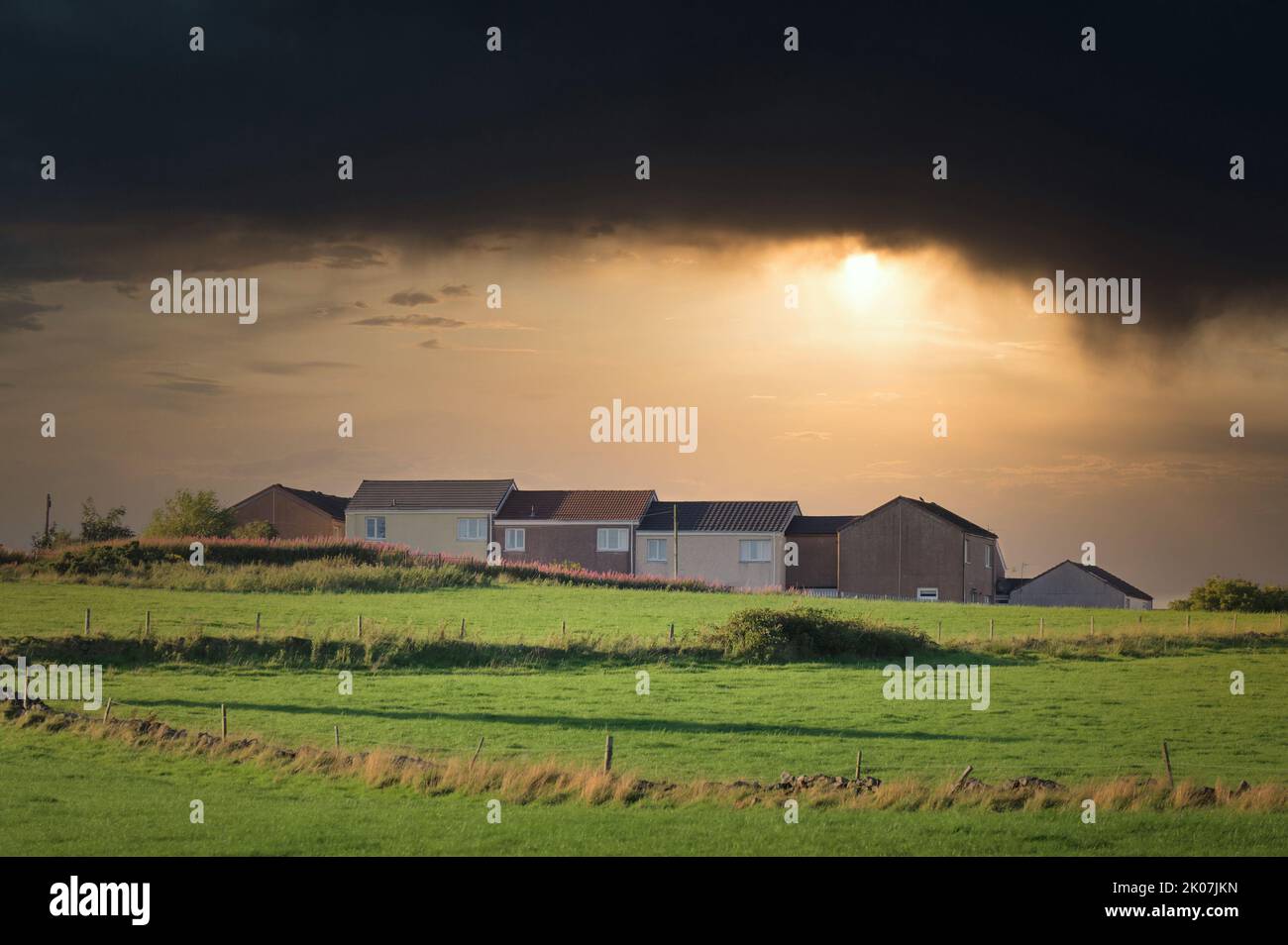 A Port Glasgow, le conseil a dératé la maison dans un bidonville immobilier pauvre avec de nombreuses questions de bien-être social Banque D'Images