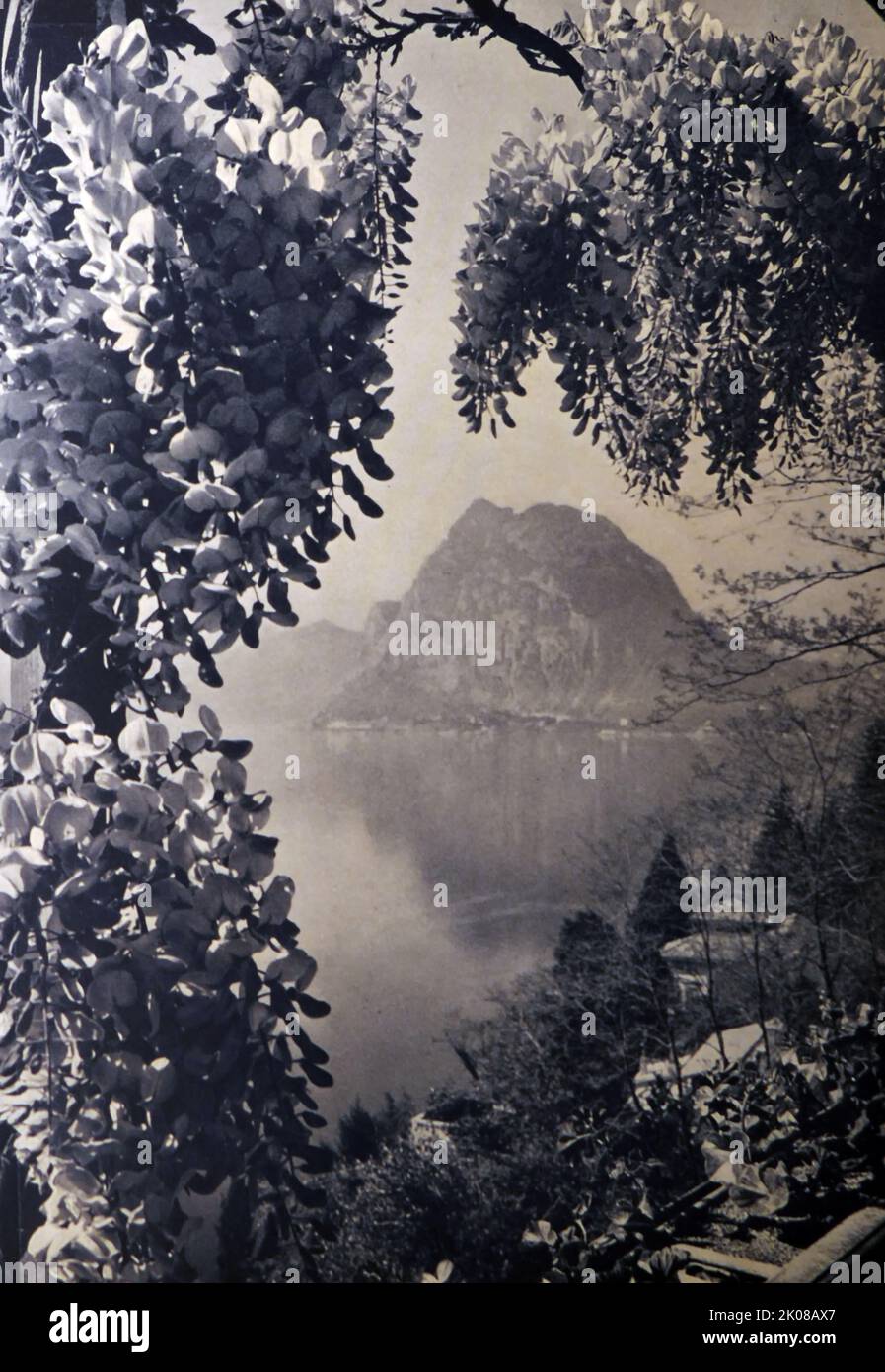 L'eau et les montagnes se trouvent dans des fleurs près du lac de Lugano. Photographie en noir et blanc Banque D'Images