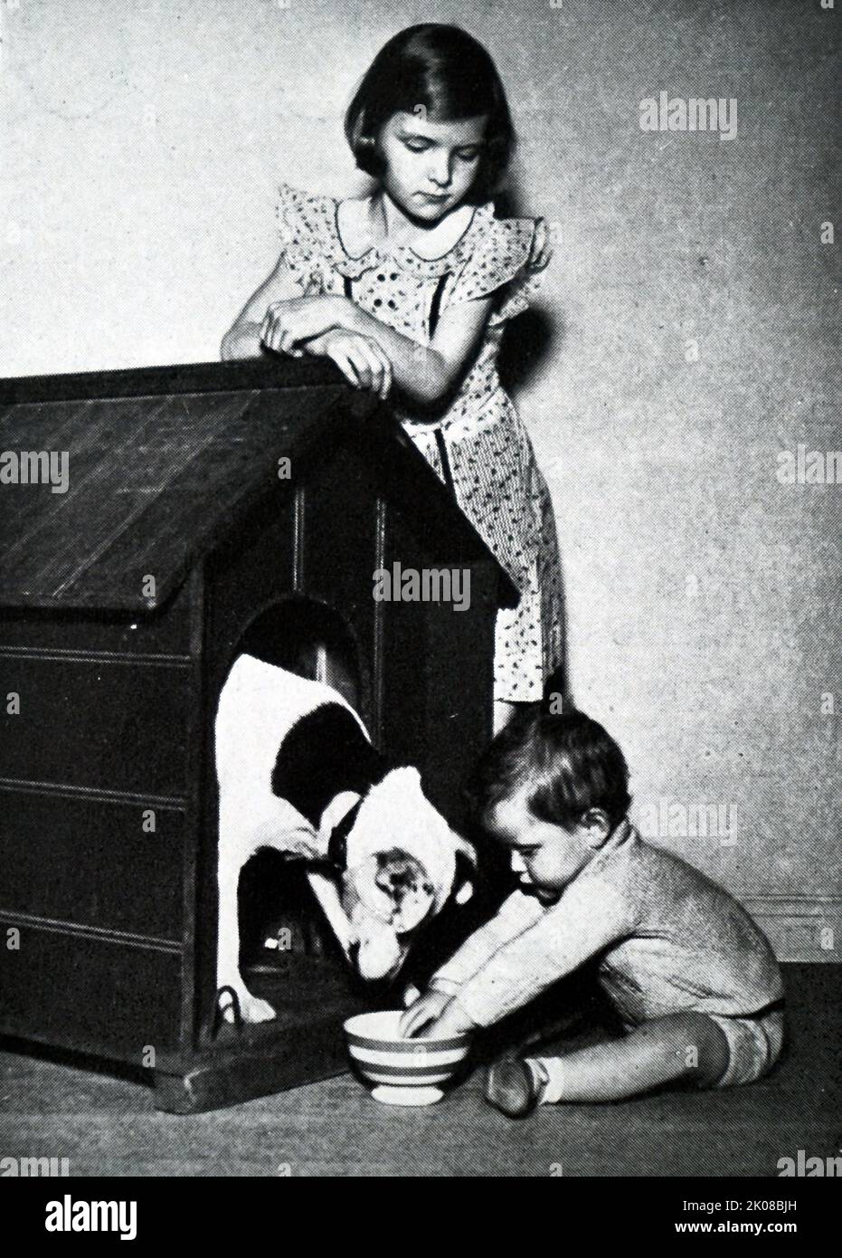 Frère et sœur jouant avec le chien de famille. Illustration dans un journal de la vie de famille en Grande-Bretagne en 1950s Banque D'Images