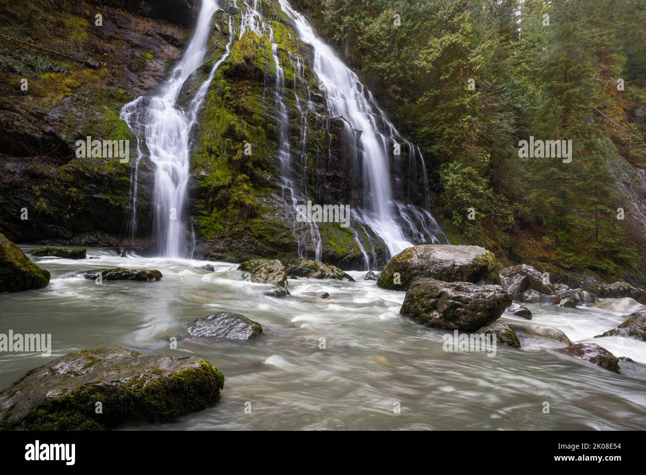 WA21969-00...WASHINGTON - Boulder Falls situé le long de la rivière Boulder dans la région sauvage de la rivière Boulder. Banque D'Images