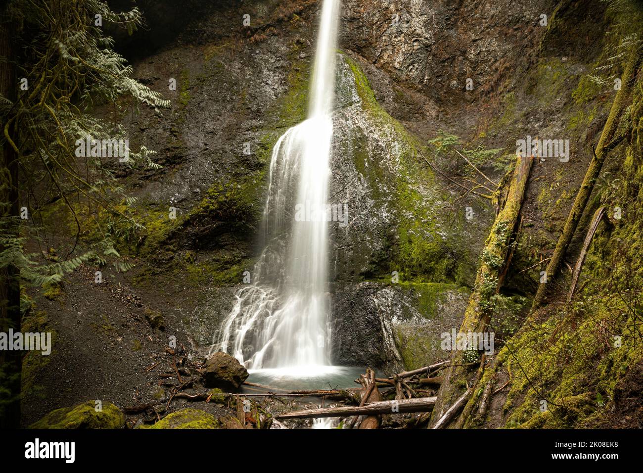 WA21983-00...WASHINGTON - Marymere Falls près de Lake Crescent dans le parc national olympique. Banque D'Images