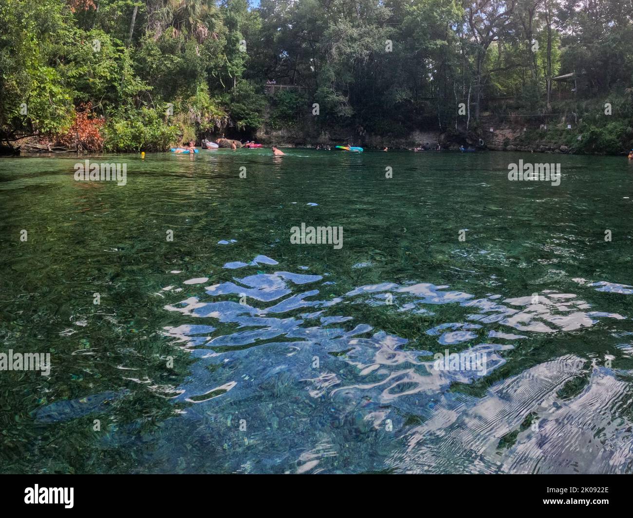 Orlando, FL États-Unis - 5 août 2022: Les gens flottent au printemps dans le parc national de Blue Springs en Floride. Banque D'Images