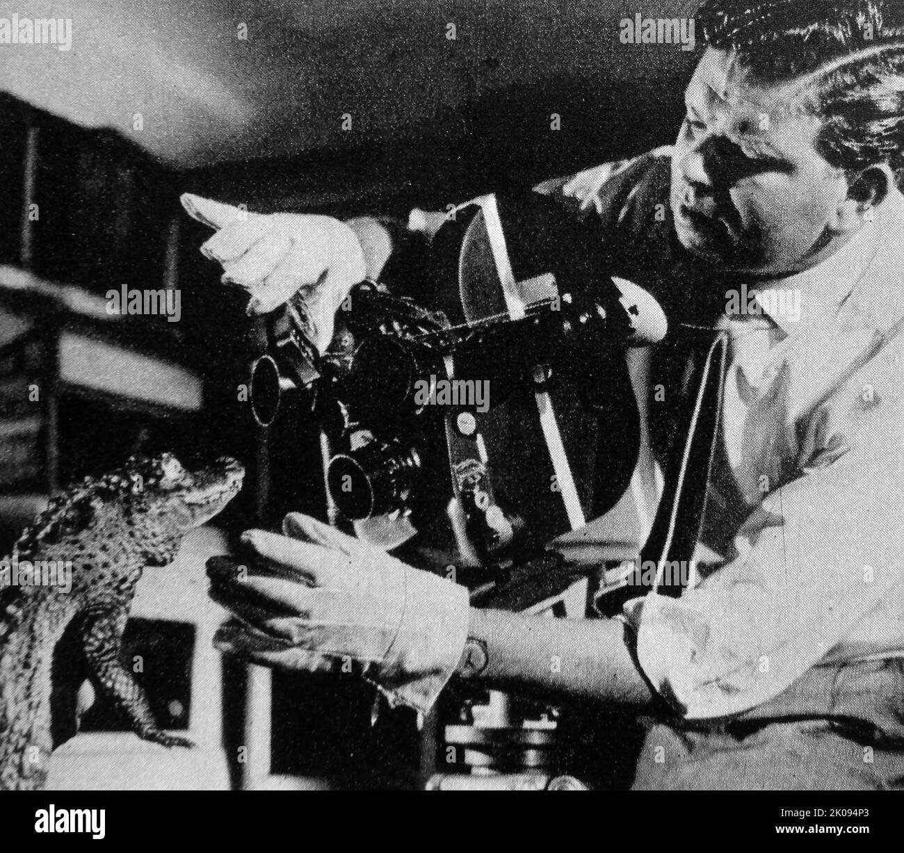 Article de presse sur le monde de Pathe pic. Cameraman de la faune Martin Rolfe. British Pathe, la principale ressource multimédia au monde avec une histoire qui remonte à plus d'un siècle. Banque D'Images