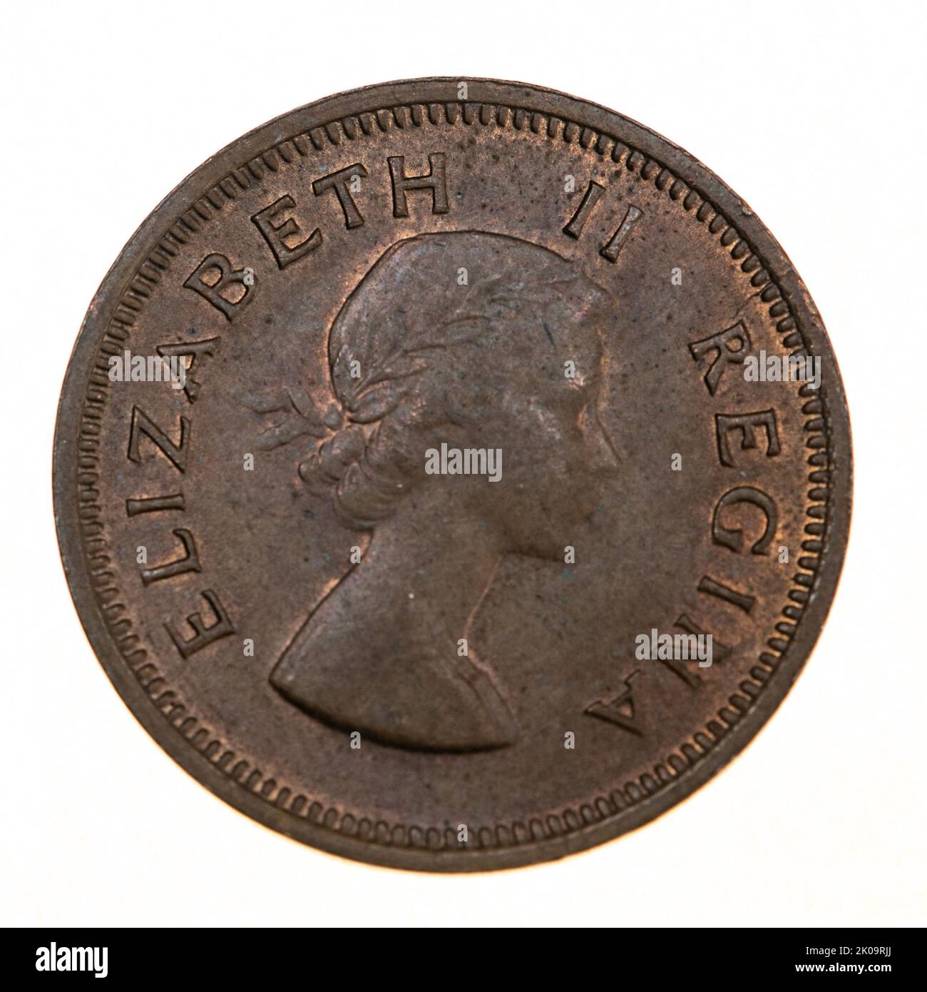 Afrique du Sud un quart 1/4 Penny coin en date de 1953 - face à la reine Elizabeth II Banque D'Images