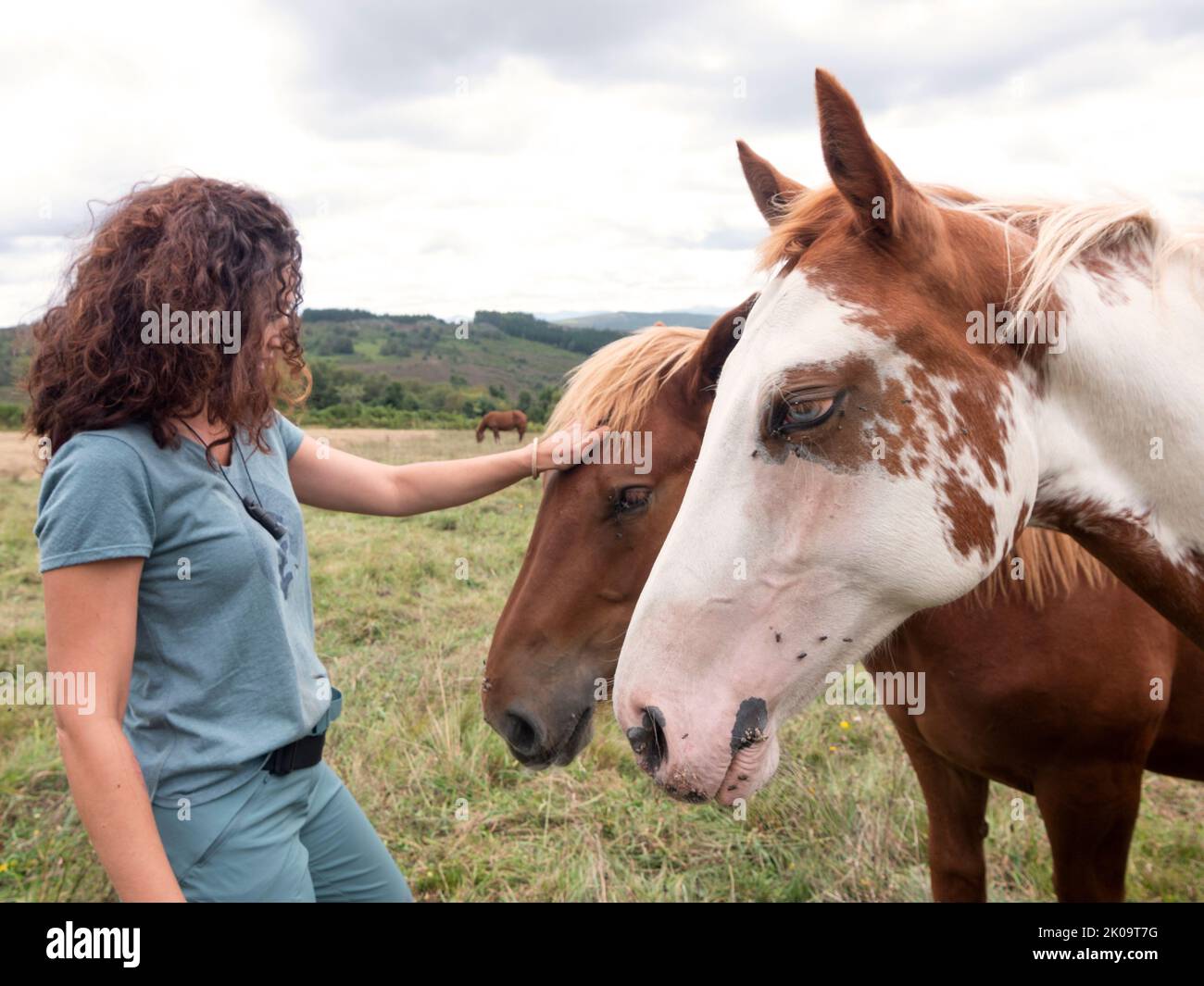 Brunette femme qui a fait un cheval hispano-breton et un cheval de peinture américain attendant. Banque D'Images