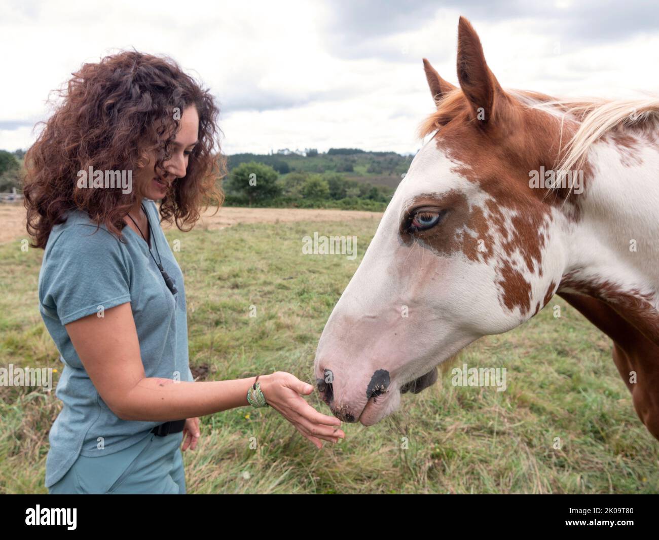Brunette femme qui a ébourage un cheval de peinture américain. Banque D'Images