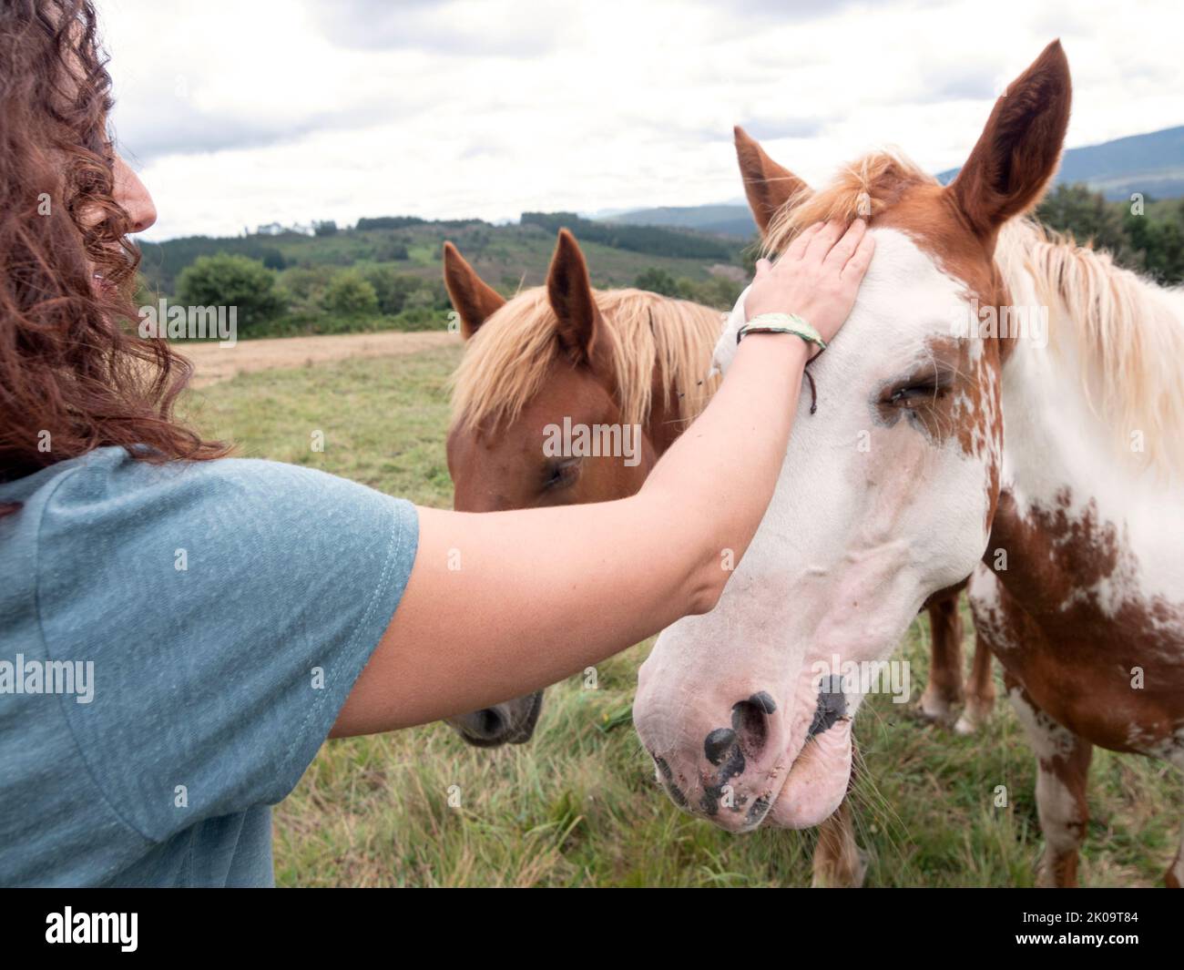 Brunette femme qui a marché un et un cheval de peinture américain et un cheval Hispano breton qui attendent en arrière-plan. Banque D'Images
