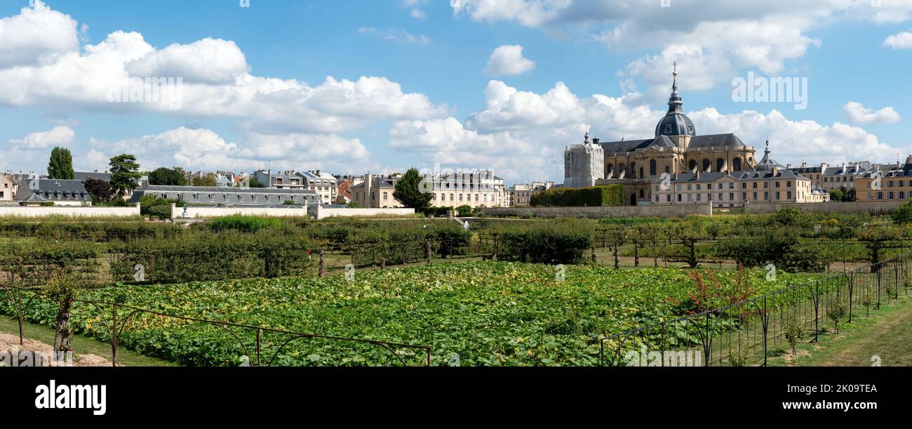 Jardin de la cuisine du Roi, Potager du Roi, Versailles, France Banque D'Images