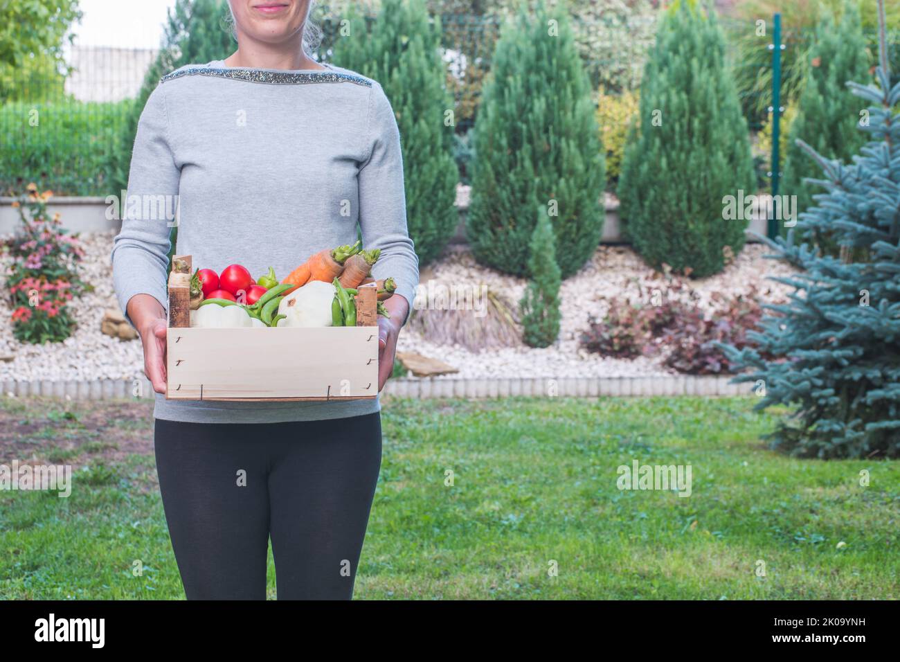 Jeune femme tenant dans les mains boîte en bois pleine de légumes frais récoltés. Tomates biologiques, patypan, carottes, poivrons, persil, petits pois. Copier l'espace. Banque D'Images