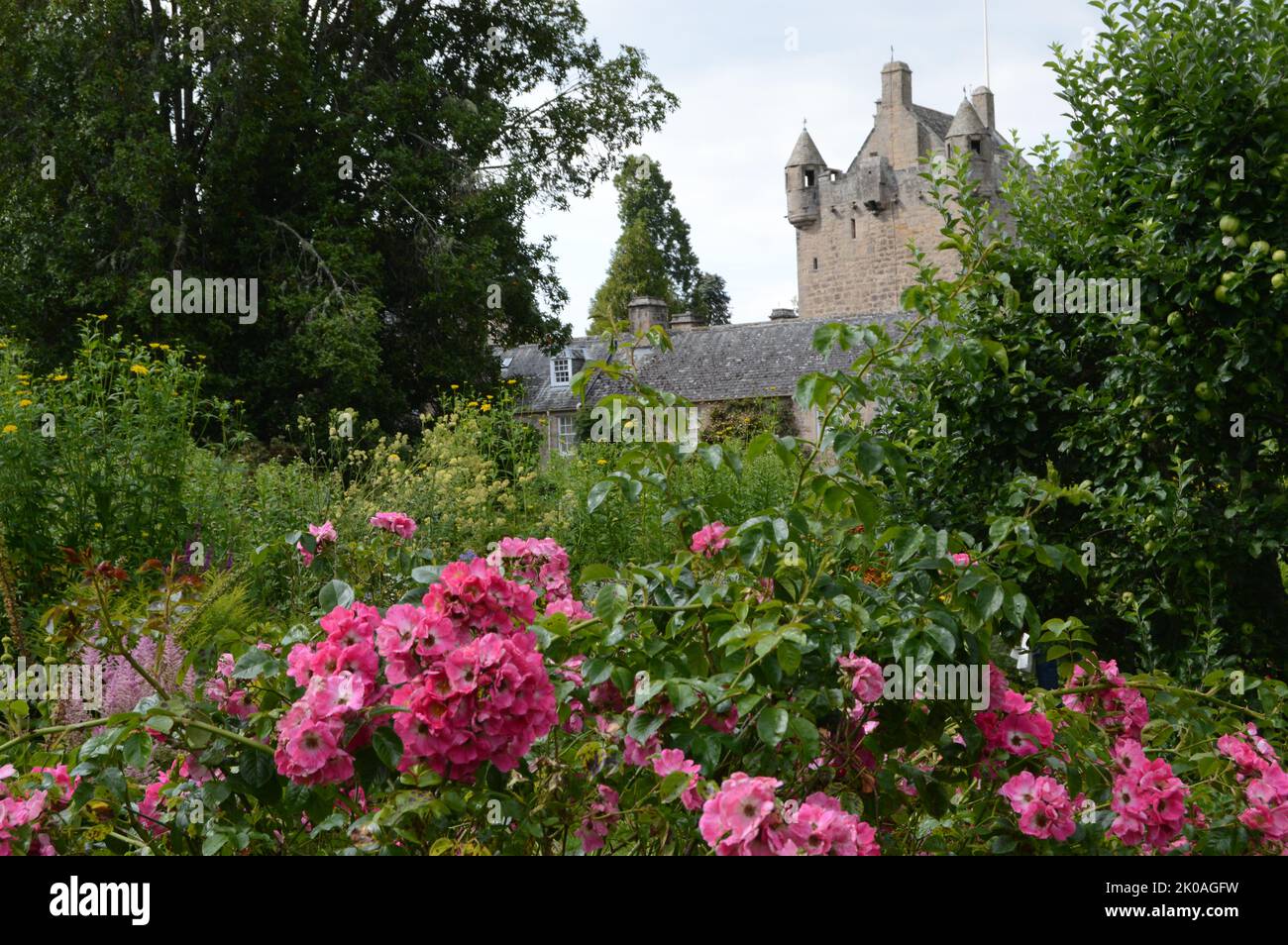 Château et jardins de Cawdor, près de Nairn, en Écosse, château écossais traditionnel, développé depuis plus de 600 ans Banque D'Images