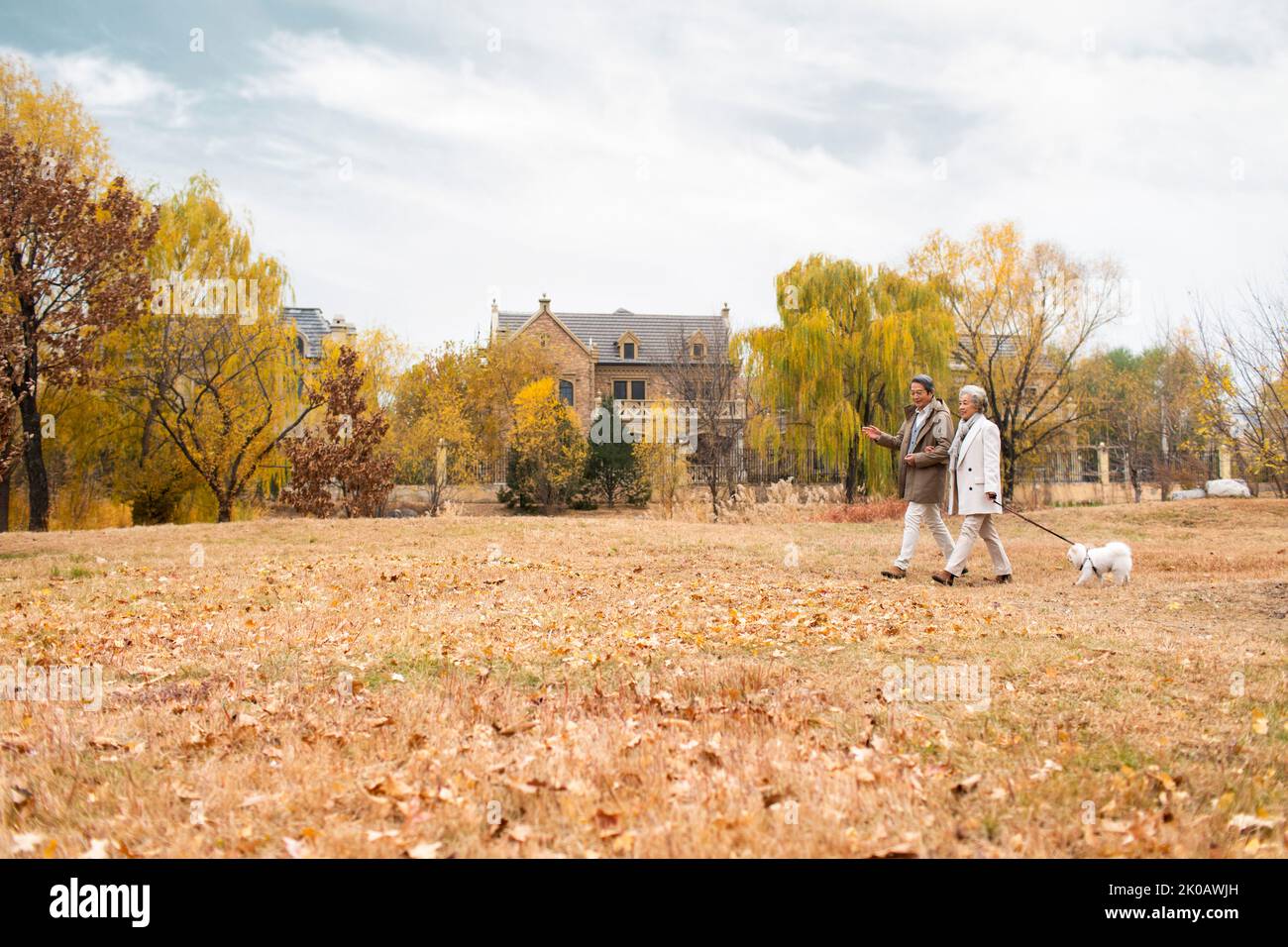Heureux couple chinois senior marchant leur chien Banque D'Images